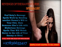 	Revenge Spells to Target and Ruin an Individual's Life Effectively +27836633417