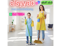 تنظيف فلل تنظيف بيوت تنظيف عن الحشرات 0503115370خدمات تنظيف المنازل و تنظيف الشقق و تنظيف الفلل ومكا