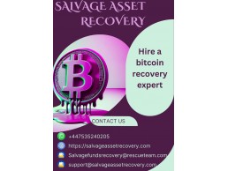 HIRE A GENUINE BITCOIN RECOVERY EXPERT / SALVAGE ASSET RECOVERY