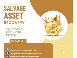 HOW I WAS ABLE TO RECOVER MY STOLEN CRYPTO ASSETS WITH THE HELP OF SALVAGE ASSET RECOVERY