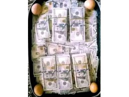 +2347033464470 join occult for money ritual without human blood in Jamaica