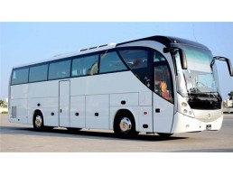  Tourist bus rental 50 seats Egypt