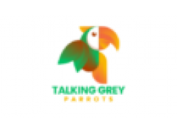 order at https://talkinggreyparrots.com 