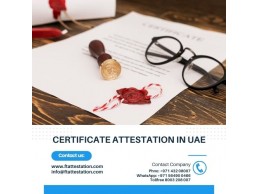 Complete Document Attestation Services for UAE