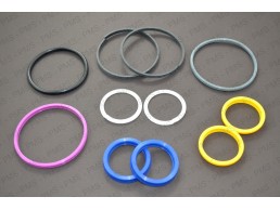 Carraro Cylinder Repair Kit / Seals Kit Types, Oem Parts