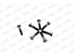 ZF Screw / Bolt Types, Oem Parts